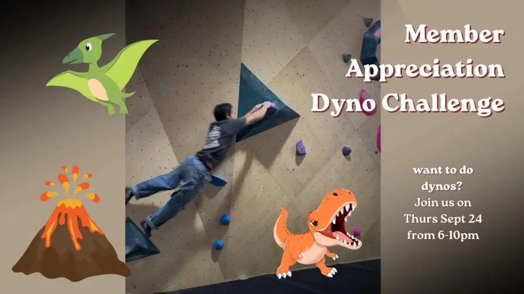 Mem Appn Dyno Challenge